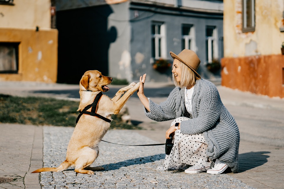 Dnevni horoskop za petak 15. mart